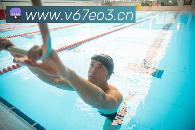 星空入口网页版登录平台生态图